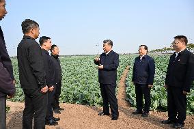 President Xi Visit To Hubei Province - China