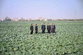 President Xi Visit To Hubei Province - China