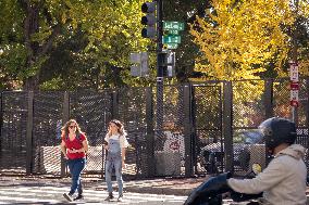 Daily Life In Washington DC On Election Day