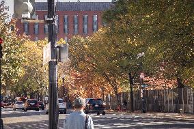 Daily Life In Washington DC On Election Day