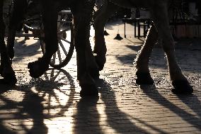 Daily Life In Krakow