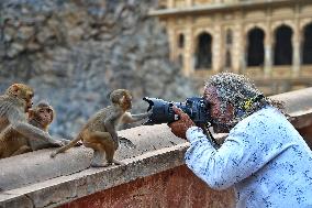 Tourists At Shrine Galta Ji Temple In Jaipur