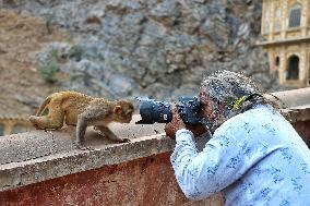 Tourists At Shrine Galta Ji Temple In Jaipur