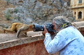 Tourists At Shrine Galta Ji Temple In Jaipur