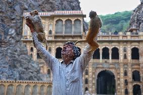 Tourists At Shrine Galta Ji Temple In Jaipur