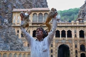 Tourists At Shrine Galta Ji Temple In Jaipur