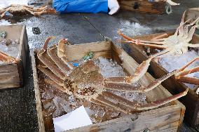 Snow crab fishing season in Japan