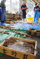 Snow crab fishing season in Japan