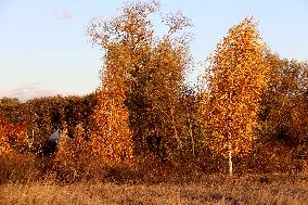 Kyiv region in autumn