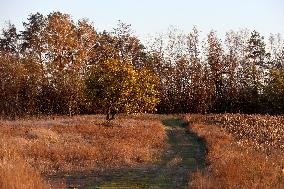 Kyiv region in autumn