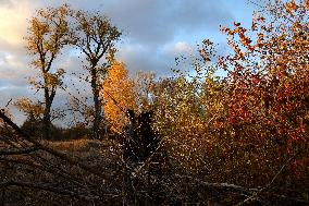 Kyiv region in autumn