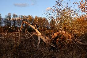 Kyiv region in autumn