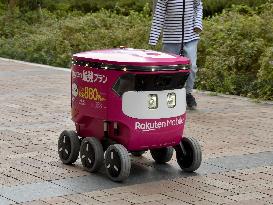 Food delivery robot