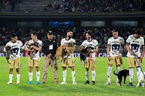 Pumas UNAM v Queretaro - 2024 BBVA MX League