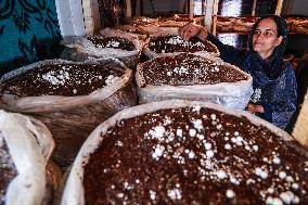 Mushroom Farming In Kashmir