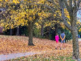 Toronto Breaks 65-year-old Temperature Record