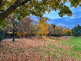 Toronto Breaks 65-year-old Temperature Record