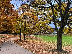 Toronto Breaks 65-year-old Temperature Record