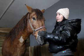 Hospital for sick horses opens at Dnipro animal shelter