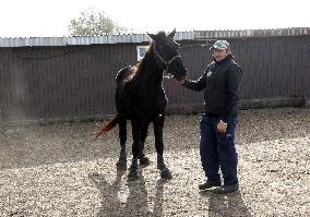 Hospital for sick horses opens at Dnipro animal shelter