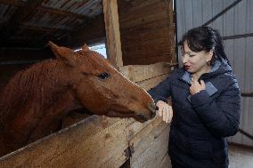 Hospital for sick horses opens at Dnipro animal shelter