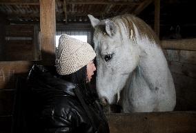 Hospital for sick horses opens at Dnipro animal shelter