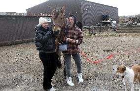 Hospital for sick horses opens at Dnipro animal shelter