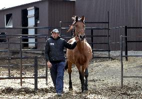 Hospital for sick horses opens at Dnipro animal shelter