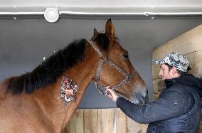 Hospital for sick horses opens at Dnipro animal shelter