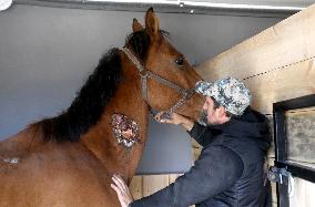 Hospital for sick horses opens at Dnipro animal shelter