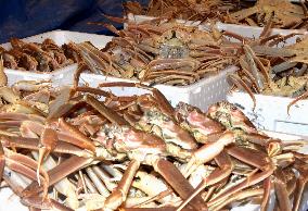 Snow crab fishing season in Japan