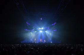 Dire Straits Experience In Concert At The Zenith - Paris