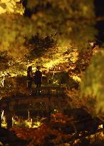 Kyoto temple's special light-up for autumn foliage