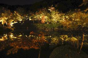 Kyoto temple's special light-up for autumn foliage