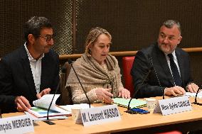 Hearing before the Commission of inquiry into violence in the film at the National Assembly in Paris FA