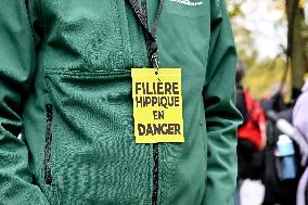 Demonstration Of The Horse-Racing Industry - Paris