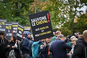 Demonstration Of The Horse-Racing Industry - Paris