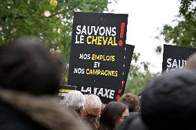 Demonstration Of The Horse-Racing Industry - Paris