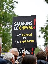 Demonstration Of The Horse-Racing Industry - Paris