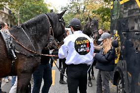 Demonstration Of The Horse-Racing Industry - Paris