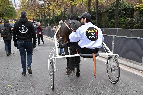 Demonstration Of The Horse-Racing Industry - Paris