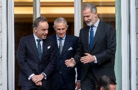 King Felipe VI Audiences - Madrid