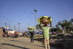 Hindu Devotees Celebrates Chhath Festival In Nepal.