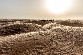 Panorama Of Sahara In Tunisia