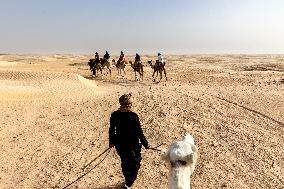 Panorama Of Sahara In Tunisia