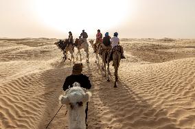 Panorama Of Sahara In Tunisia