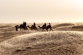 Panorama Of Sahara In Tunisia