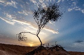 Panorama Of Sahara In Tunisia