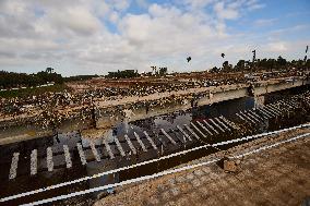 Devasting Scenes From The Paiporta Flood