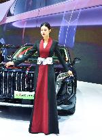 16th Zhengzhou International Auto Show